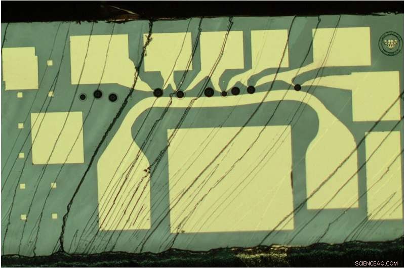 Ten-Qubit Solid-State Spin Register Achieves Exceptional Quantum Memory