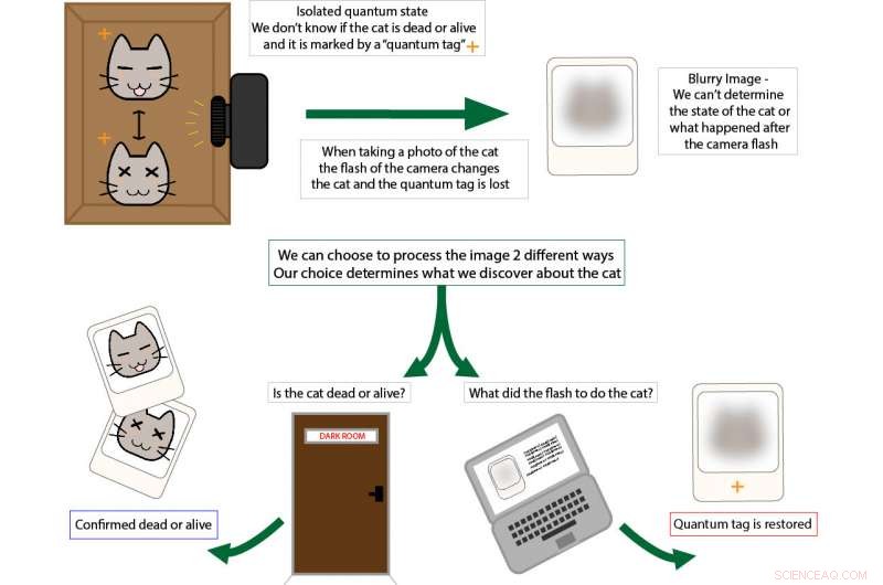 Can We Observe Schrödinger’s Cat Without Disturbing Its Quantum State?
