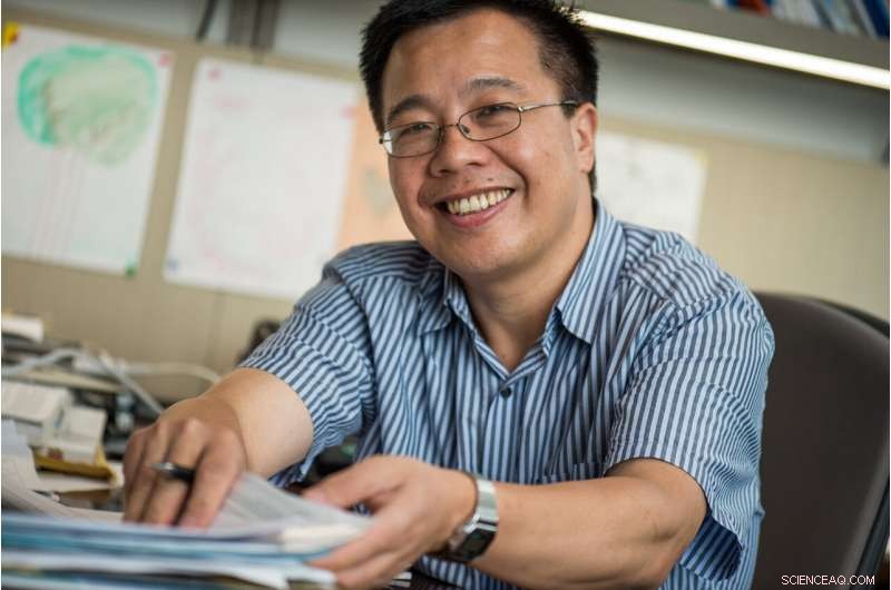 Pioneering Quantum Materials Explore Uncharted Territories