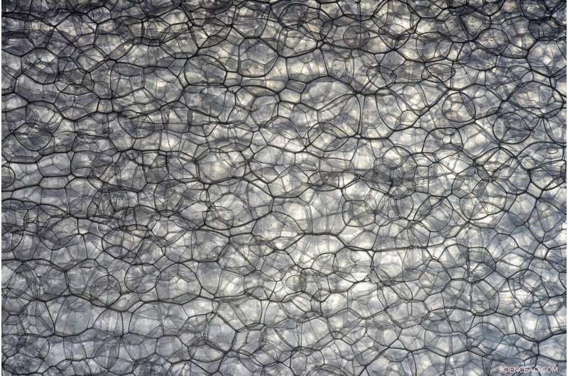 Physicist Proposes Quantum Foam as Explanation for Vast Cosmic Energy Density