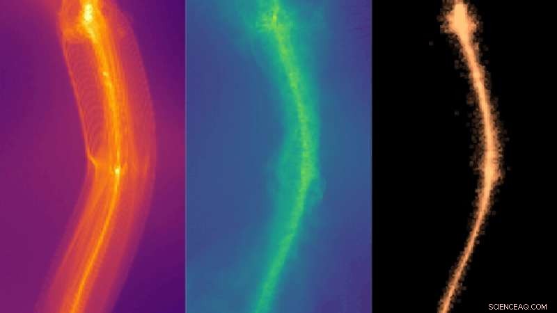 What a Fuzzy Dark Matter Universe Might Look Like