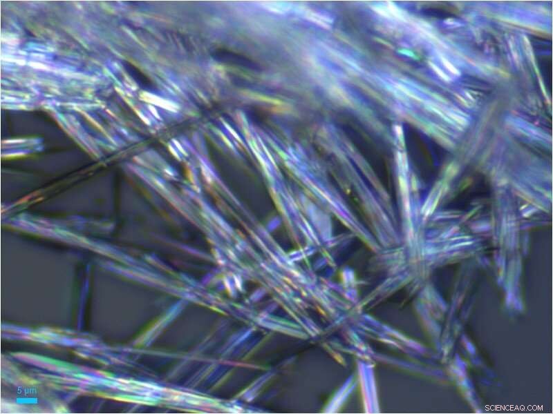 Dual‑Mode Atomic Force‑Raman Microscope Unveiled: Advancing DNA, Pollution, and Art Research