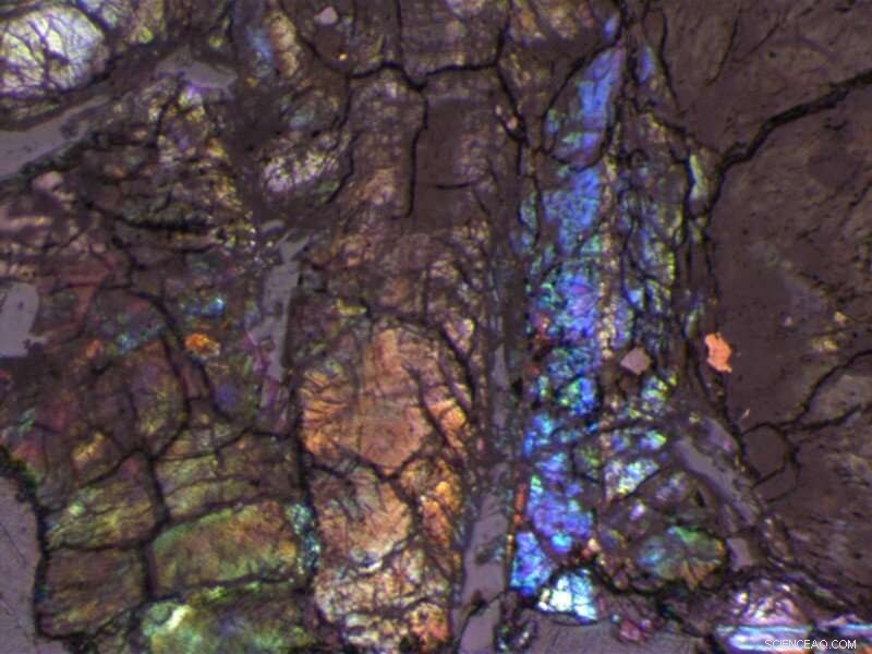 Dual‑Mode Atomic Force‑Raman Microscope Unveiled: Advancing DNA, Pollution, and Art Research