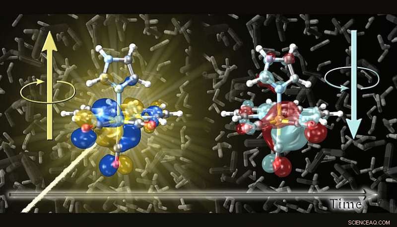 Rapid Spin Dynamics of Electrons in Metal Complexes