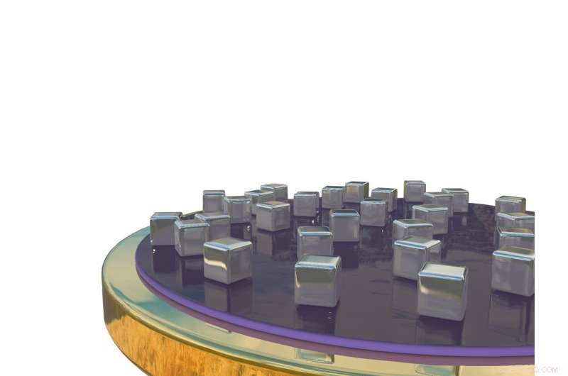 Revolutionizing Global Agriculture with Plasmonic Precision Imaging