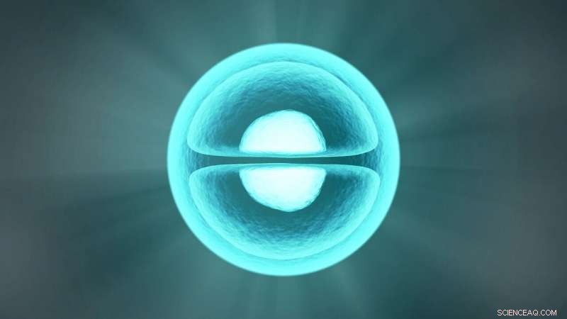 Cell Stiffness Predicts Tumor Invasion: MIT Study Reveals Key Mechanical Marker