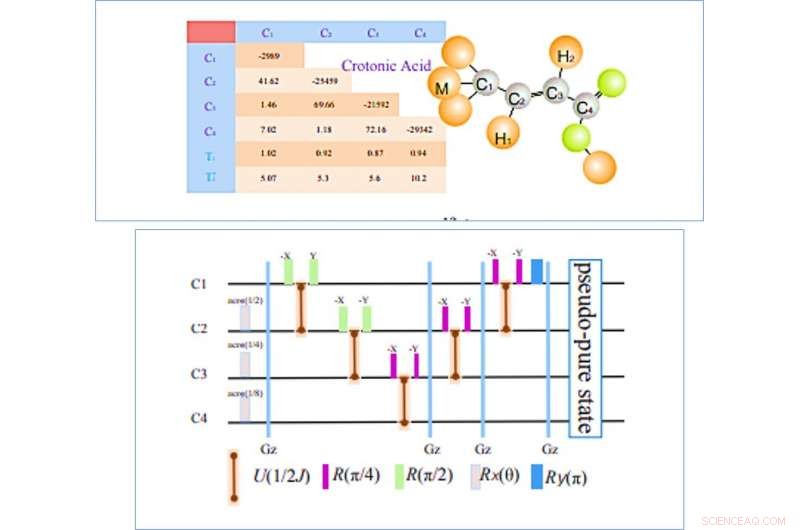 Exploring Quantum Spacetime Dynamics with a Quantum Simulator
