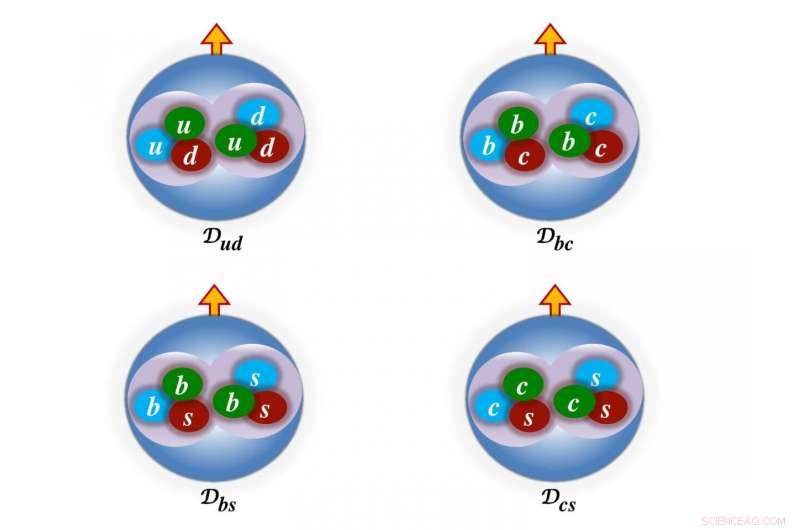 Exploring Heavy Dibaryons: A Path to Discovering Exotic Nuclei