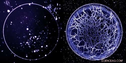 American Whiskey Leaves Unique Fingerprint Upon Evaporation, Study Finds