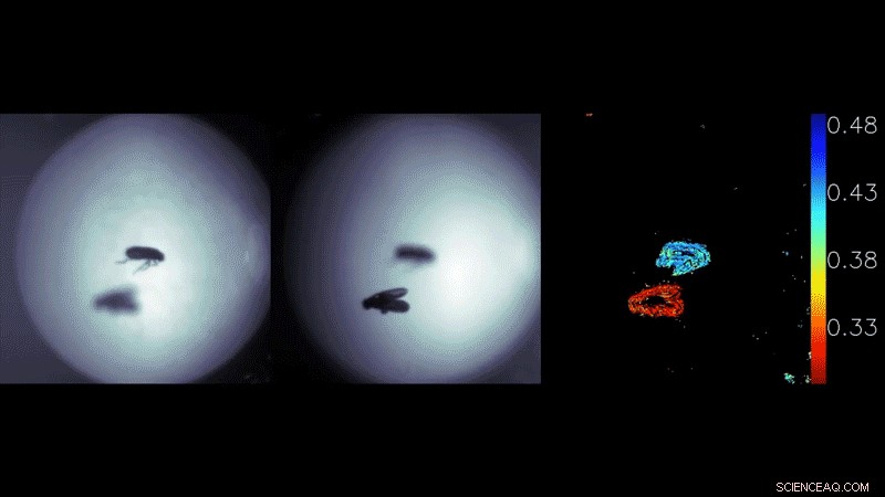 Compact Metalens Depth Sensor Inspired by Jumping Spider Eyes