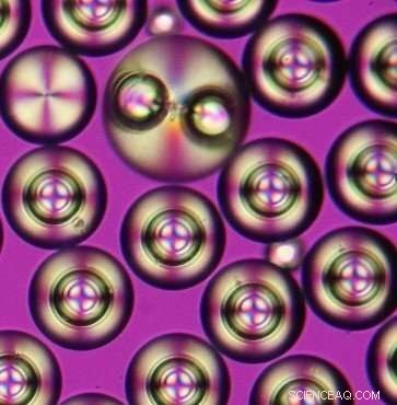 Liquid Crystal Droplets: Versatile Microswimmers in Motion