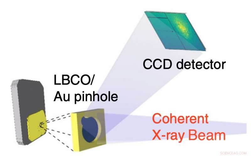 Superconductor Exhibits Memory of Electronic Charge Arrangement