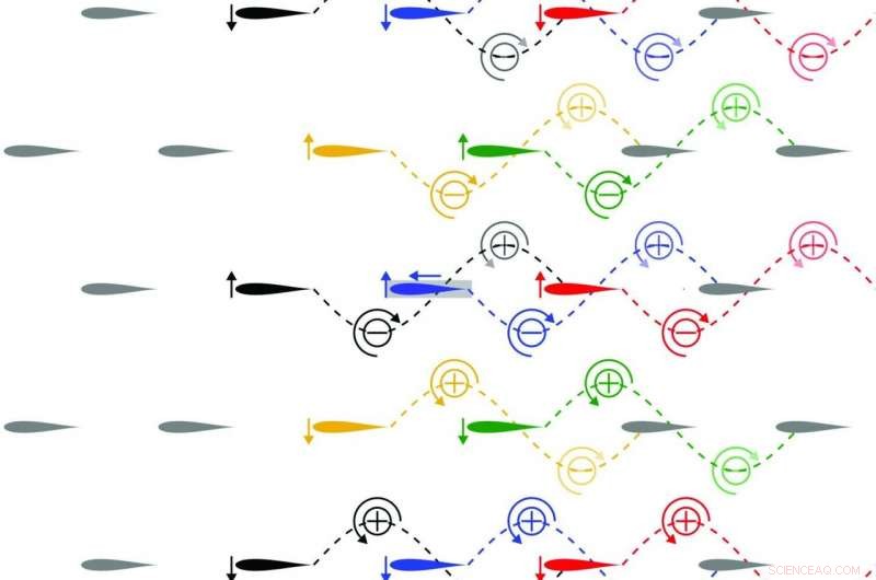 Scientists Identify Diamond-Shaped Schooling Pattern that Maximizes Fish Speed and Energy Efficiency