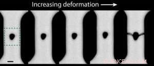 Advanced Microscopes Capture Detailed Atomic Neighborhoods