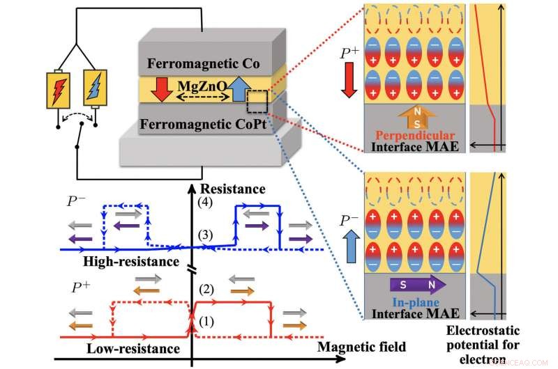 Persistent Magnetic Anisotropy Control via Electric Polarization Switching
