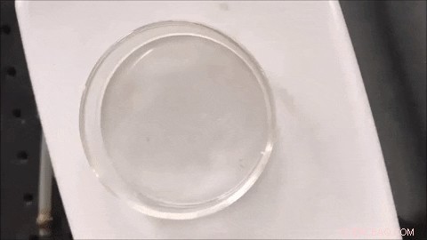 Drexel Researchers Produce First Stable Pure Polymeric Nitrogen Under Near‑Ambient Conditions