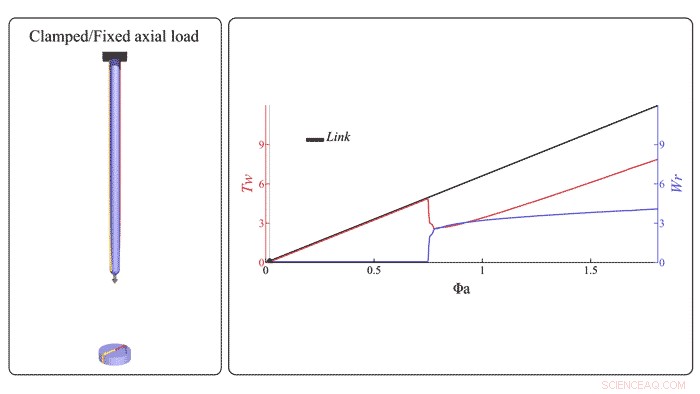 New Study Reveals Mechanics of Soft Filaments