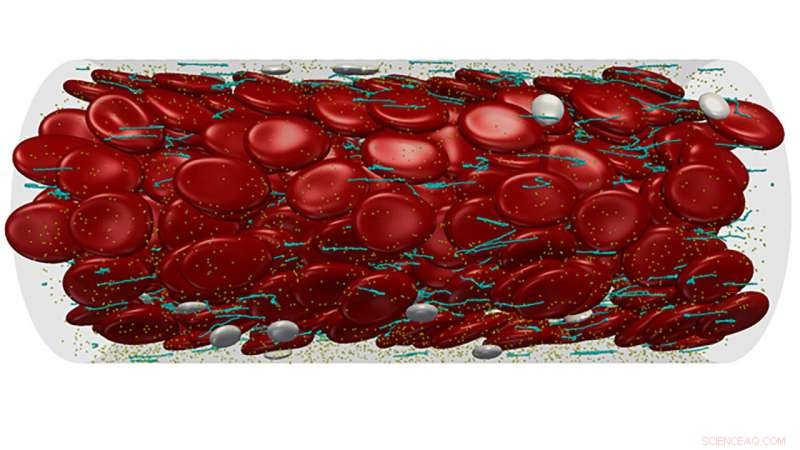 Shaping the Future of Reliable Blood-Clotting Protein Models