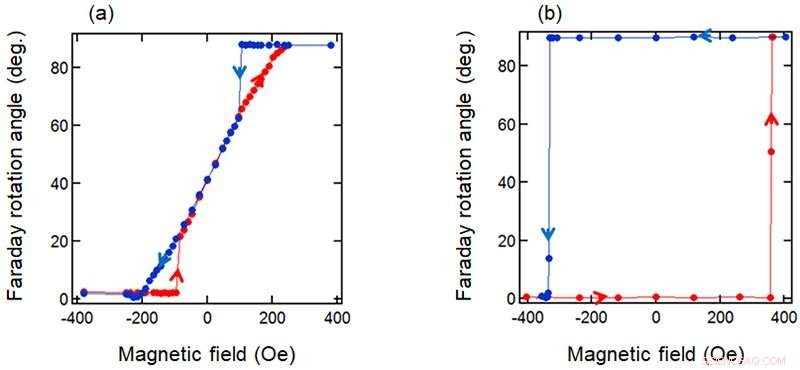 Advanced Magneto-Optic Measurement Device Leveraging Dual-Comb Spectroscopy