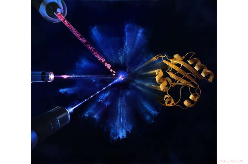 Real‑Time Protein Imaging: Capturing Life’s Enzymes in Action