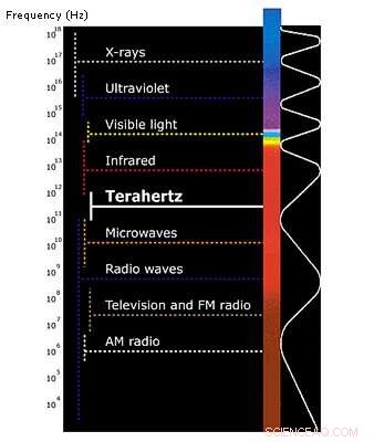 ESA Unveils Worldwide See-Through Security Imaging Service