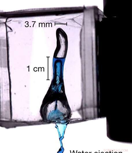 Physicists Warn Head Shaking to Remove Ear Water May Harm Brain