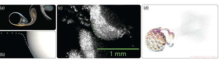 Fog Harvesting: A Reliable Solution for Fresh Water in Desert Regions