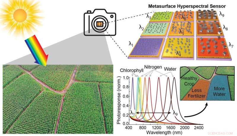 Nanocube Light‑Trapping Technology Powers Affordable Multispectral Cameras