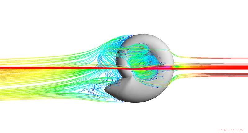 Ancient Cephalopod Swimming Revealed by Fossil Fluid Dynamics Study