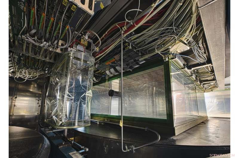 NA61/SHINE Enhances Neutrino Research with Precise Hadron Production Data