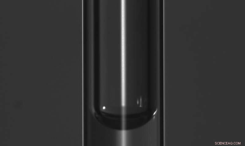 EPFL Student Unveils Century-Old Mystery Behind Stuck Gas Bubbles