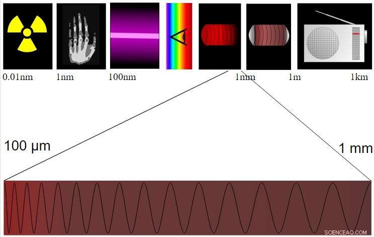 Osaka University Unveils Terahertz Detector to Accelerate Wireless Data Transfer