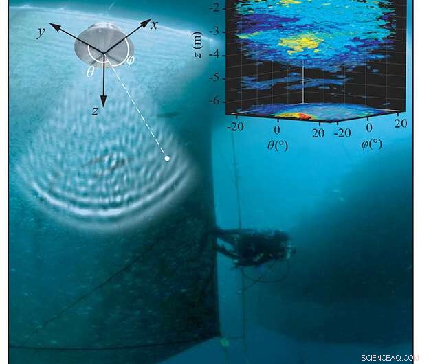 How Fish Sound Wave Scattering Impacts Aquaculture Efficiency