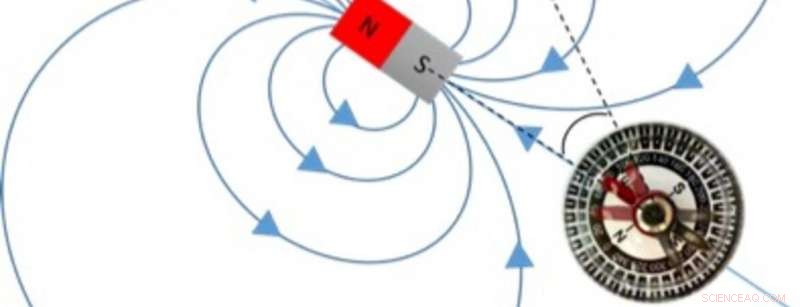 Undergraduate Experiment at UC Riverside Illuminates Magnetic Resonance