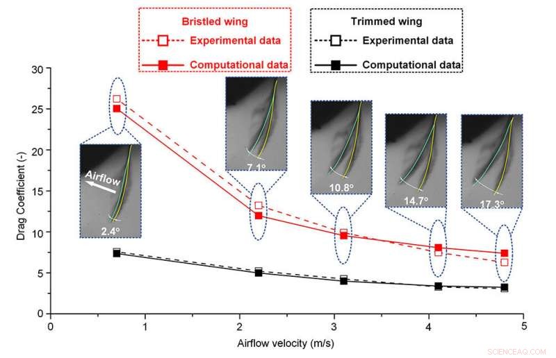 Drag‑Based Flight Inspired by Insects: Advancing Tiny Flying Robot Design