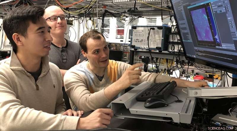 Scientists Achieve Quantum States in Everyday Electronics—A Groundbreaking Milestone
