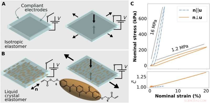 Programmable Dielectric Liquid Crystal Elastomer Actuators for Advanced Shape Control