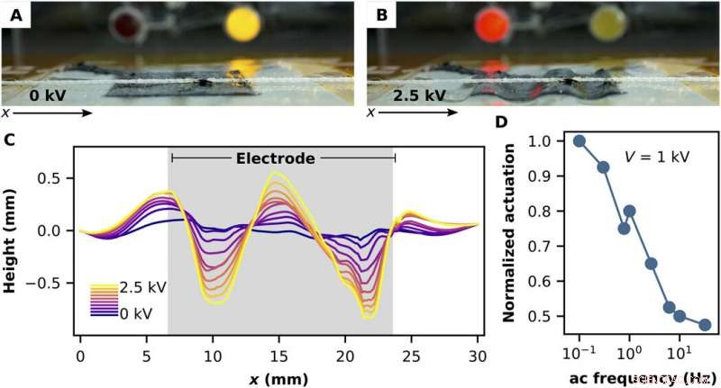 Programmable Dielectric Liquid Crystal Elastomer Actuators for Advanced Shape Control