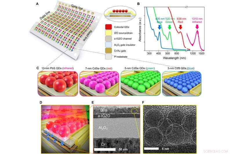 Skin‑Like 2‑D Pixelated Quantum‑Dot Photodetector for Full‑Color Imaging