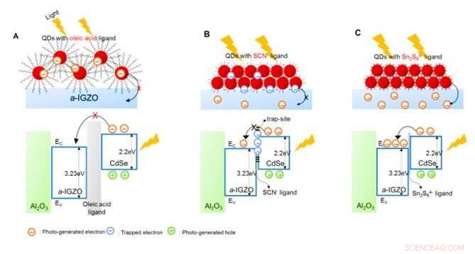 Skin‑Like 2‑D Pixelated Quantum‑Dot Photodetector for Full‑Color Imaging