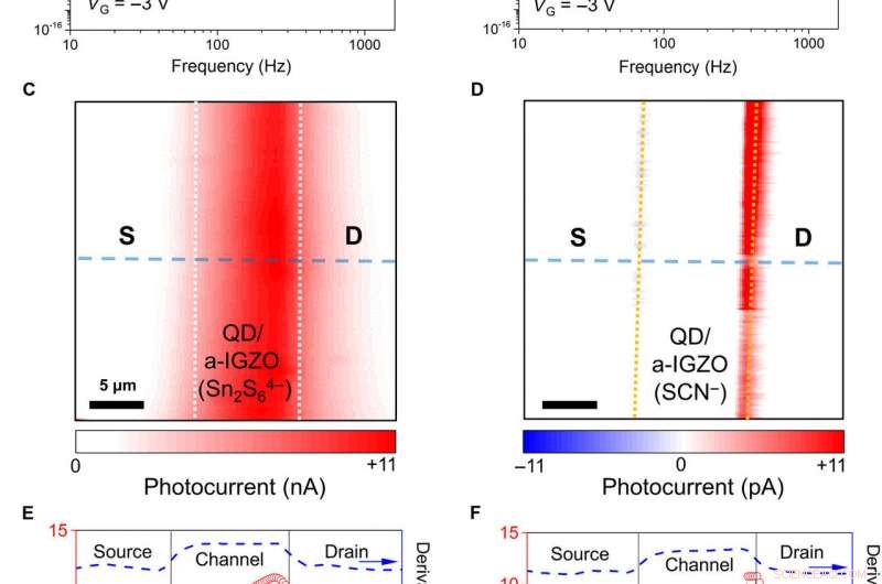Skin‑Like 2‑D Pixelated Quantum‑Dot Photodetector for Full‑Color Imaging
