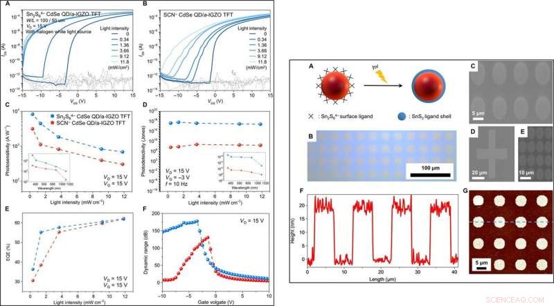 Skin‑Like 2‑D Pixelated Quantum‑Dot Photodetector for Full‑Color Imaging