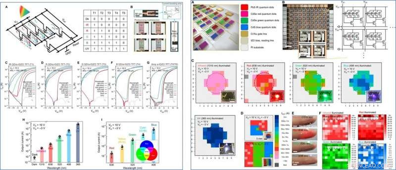 Skin‑Like 2‑D Pixelated Quantum‑Dot Photodetector for Full‑Color Imaging
