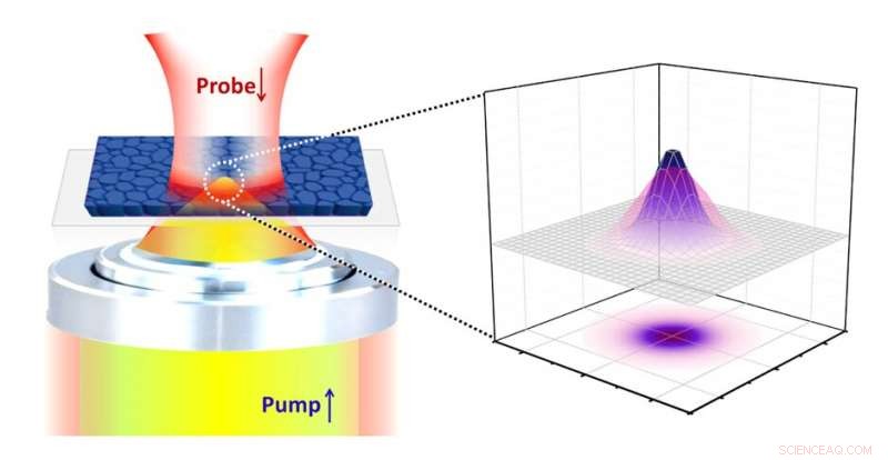 New Insights into Carrier Dynamics in Perovskite Thin Films Revealed by Recent Study
