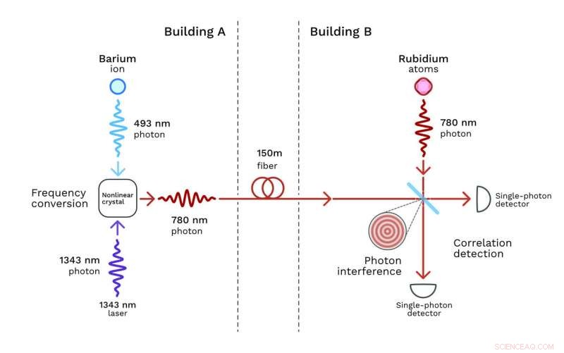 Scientists Correlate Distinct-Color Photon Pairs Produced in Separate Buildings