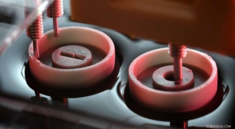 Researchers Achieve First Direct Measurement of Cheerios Effect Forces