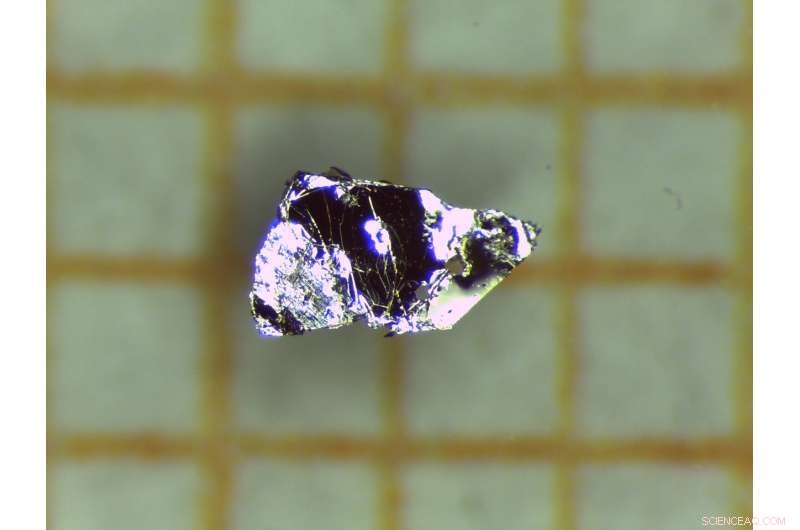 Pioneering Discovery: First Intrinsic Magnetic Topological Insulator Revealed