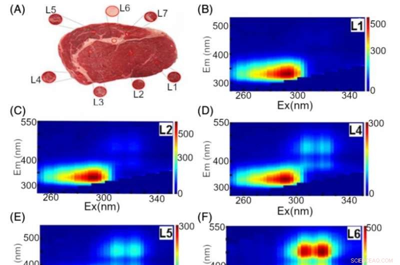 Using Fluorescence Spectroscopy to Accurately Assess Meat Quality