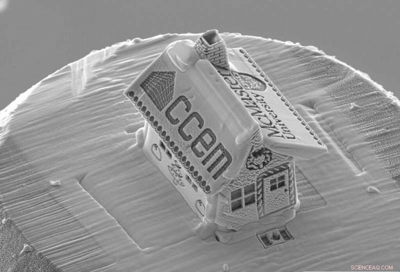 Canadian Researcher Reveals the World’s Smallest Microscopic Gingerbread House