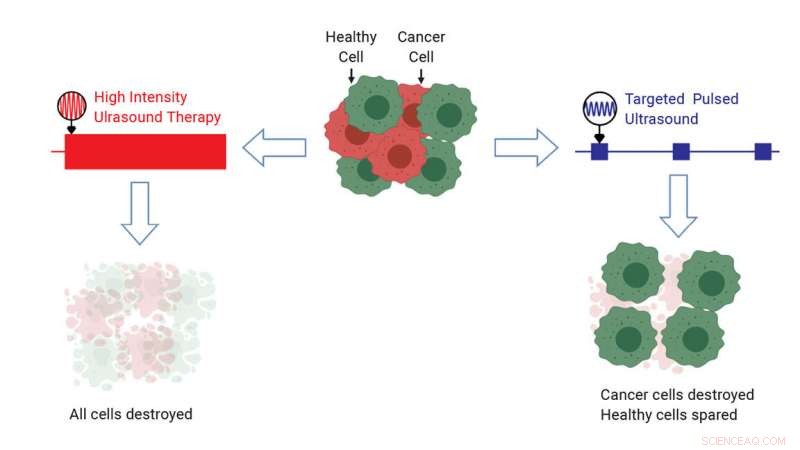 Precision Ultrasound Therapy: Selective Cancer Cell Destruction at Optimal Frequencies